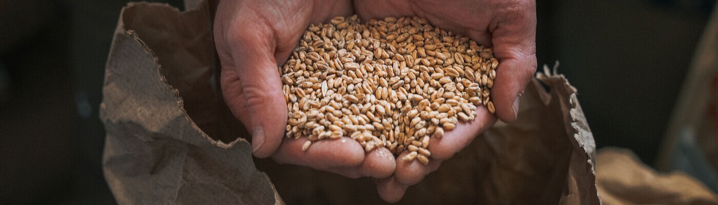 Brautag - Wir brauen ein Weizen