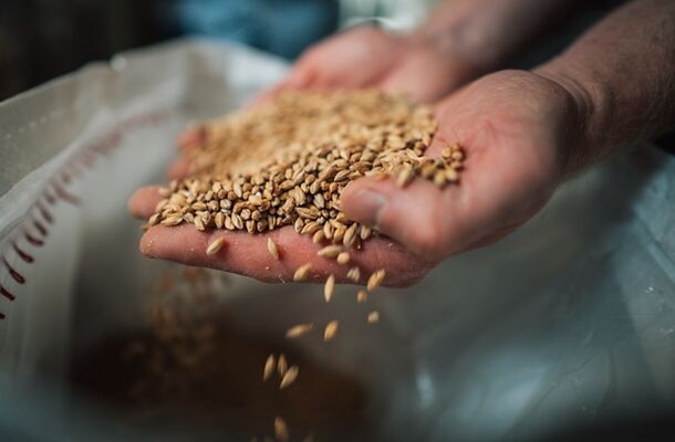 Brautag - Wir brauen ein Pale Ale