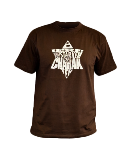 T-Shirt Sternlogo 