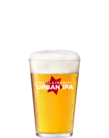 Maisel & Friends Urban IPA Pintglas 0,30 l voll