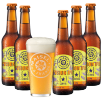 Maisel & Friends Fushion IPA Lervig Paket