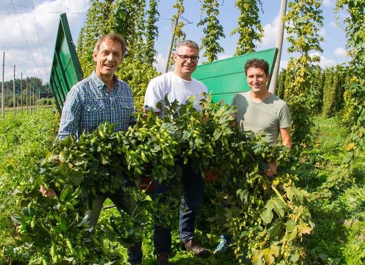 Wir pflegen engen Kontakt zu unseren Hopfenbauern